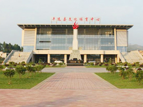 广东省梅州市平远县文...